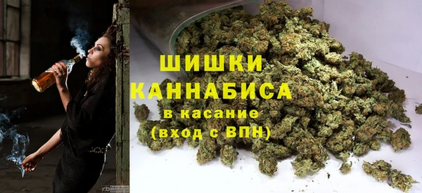 амф Осинники