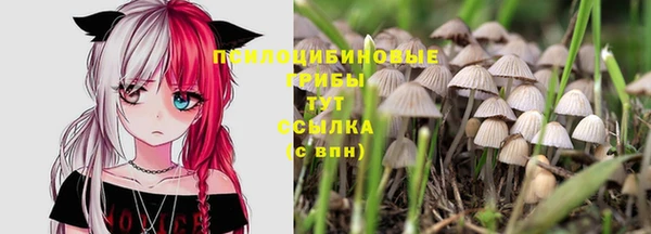 герыч Пестово