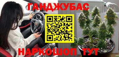 шишки Волжск