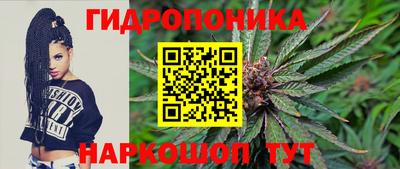 стаф Волжский
