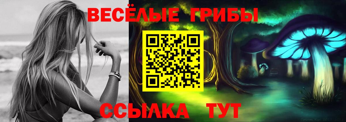Кириши  Псилоцибиновые грибы прущие грибы  Вход с VPN 
